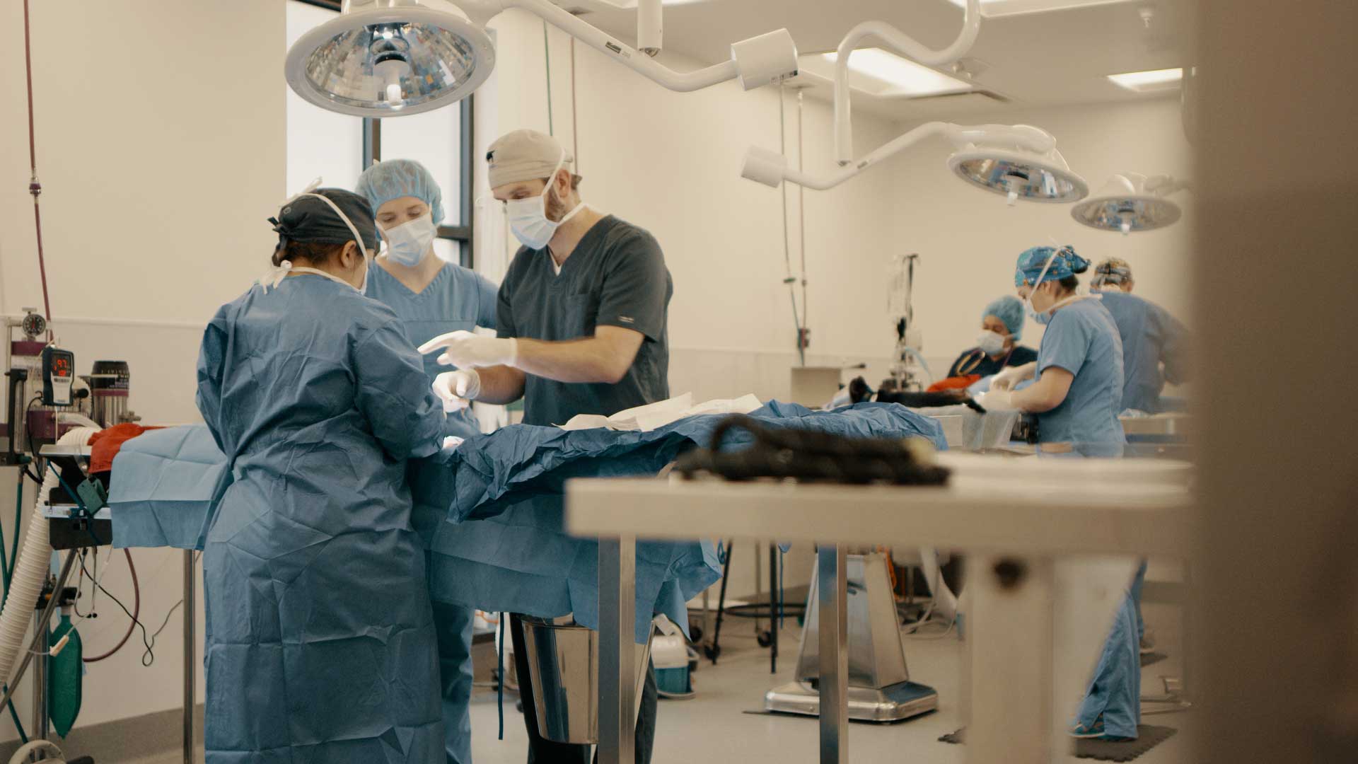 Day of Giving — production still from Doozy Crew's Ohio State University project